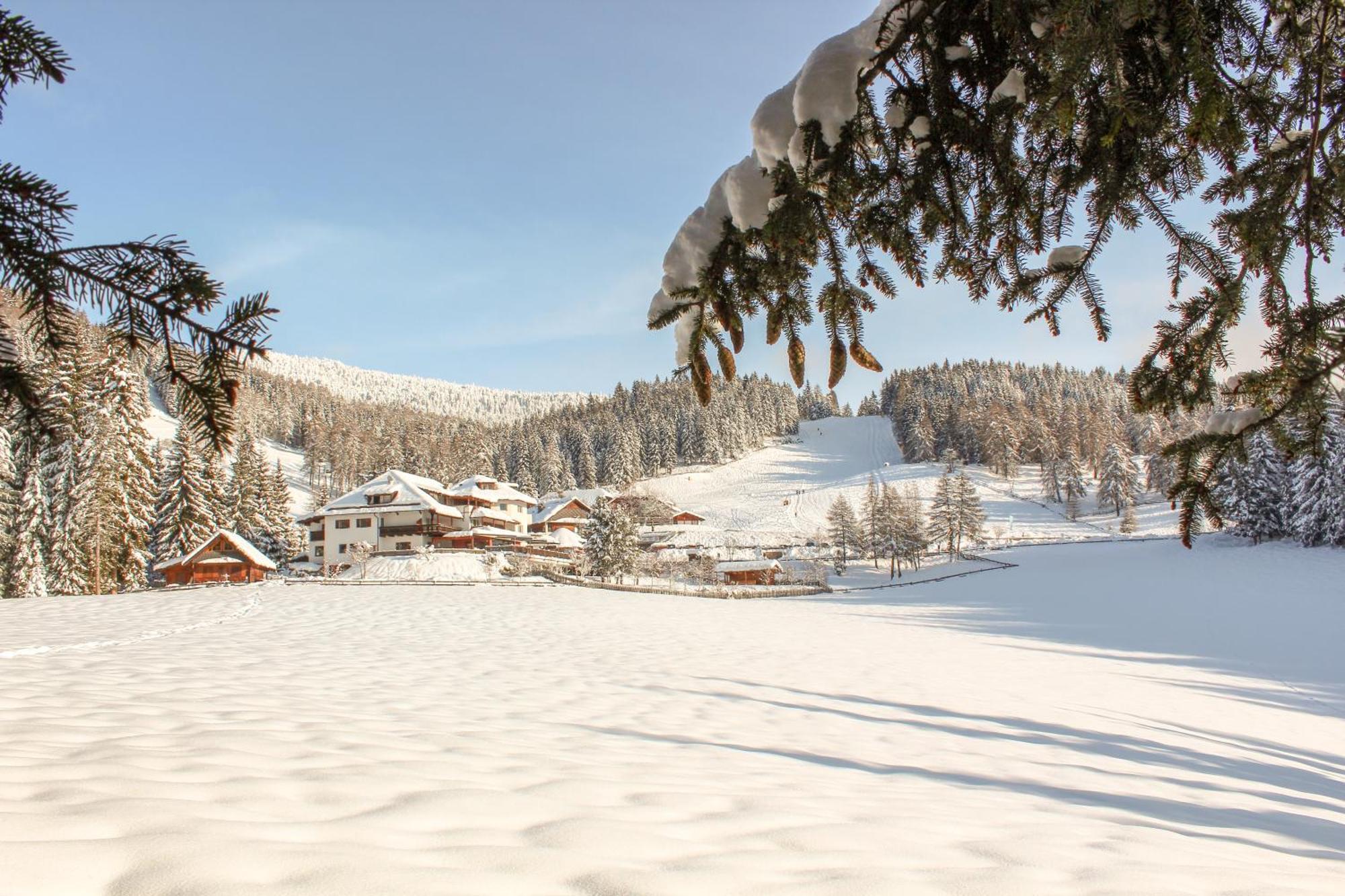 Berghotel Zum Zirm Collalbo Exterior photo